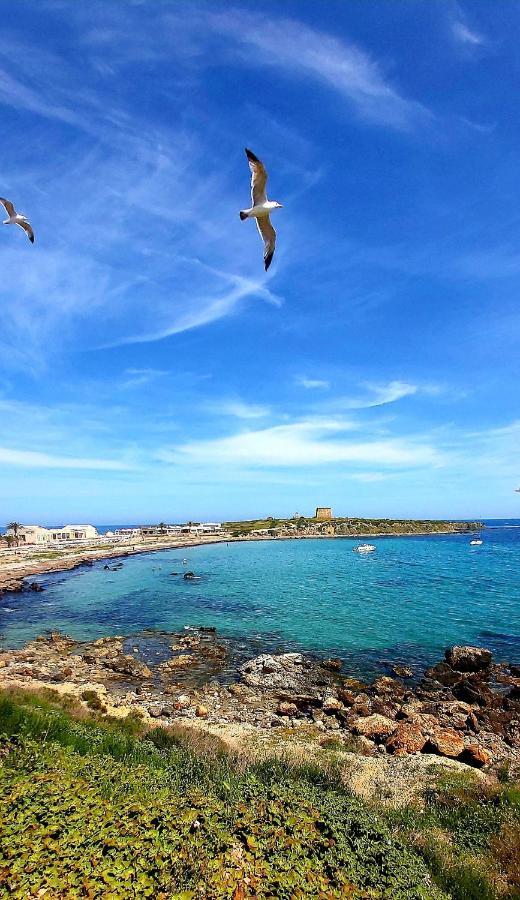 Apartament Casa Milo Playa Los Locos Τορεβιέχα Εξωτερικό φωτογραφία