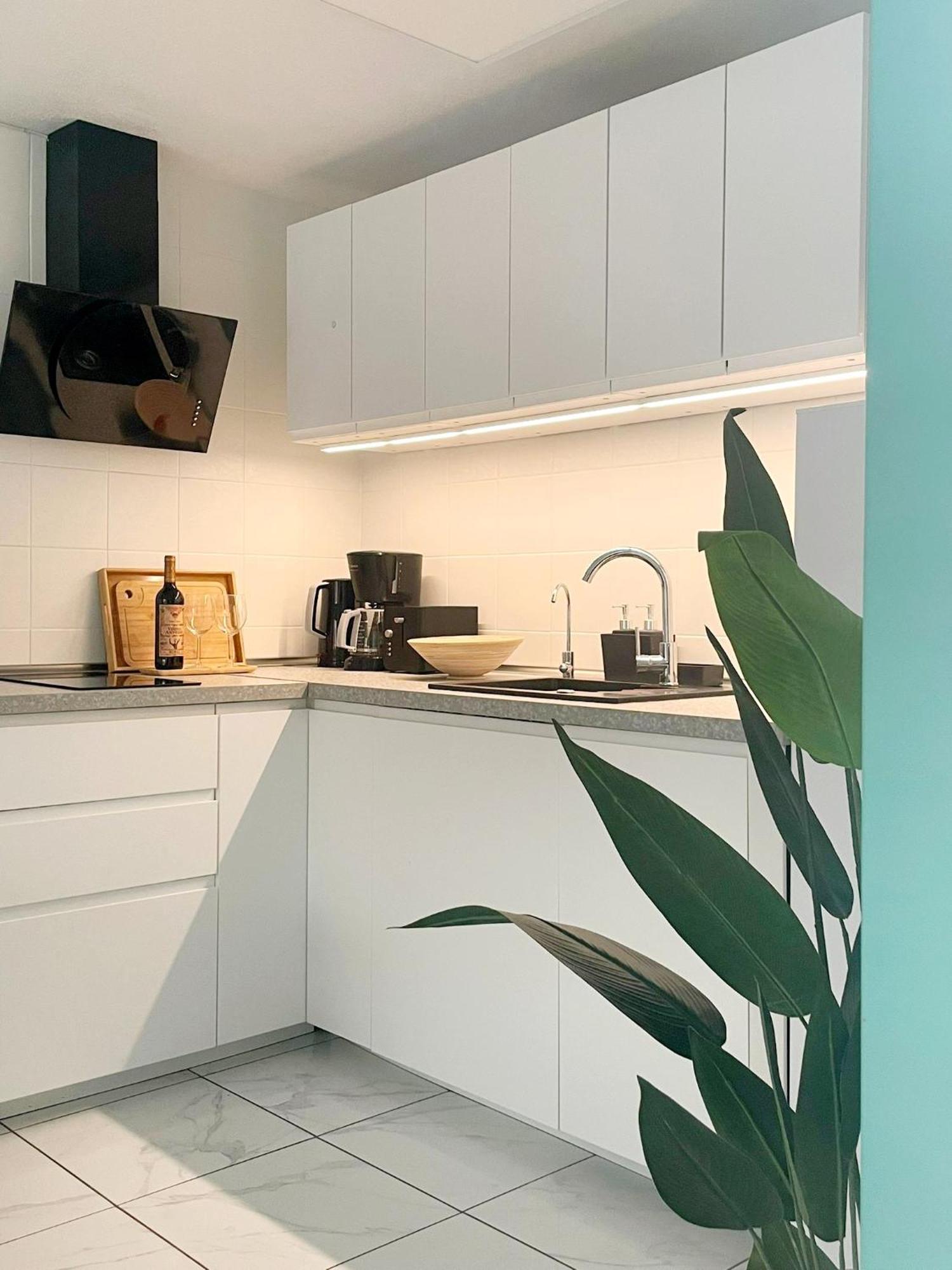 Apartament Casa Milo Playa Los Locos Τορεβιέχα Εξωτερικό φωτογραφία